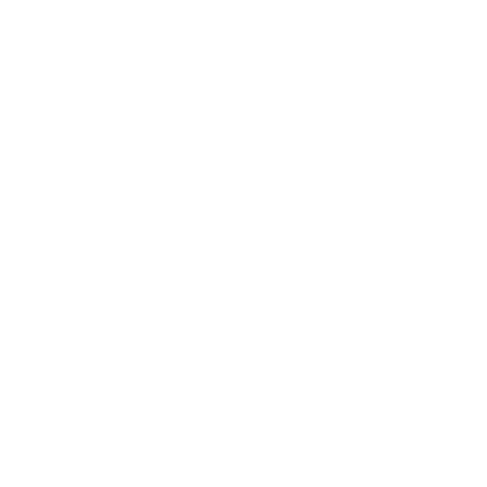 laraviolinist Logo